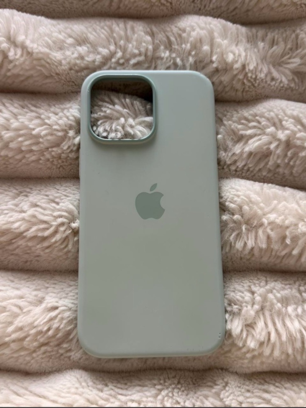 Apple Silicone iPhone Case in Aquamarine